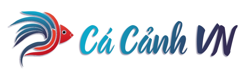 Cá Cảnh VN