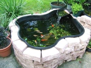 Hướng Dẫn Cách Làm Hồ Cá Bằng Xi Măng, Chống Thấm Chuẩn